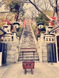 A Soulful Day Trip to Koyasan: A Journey Back to Peace 🧘‍♀️🌿