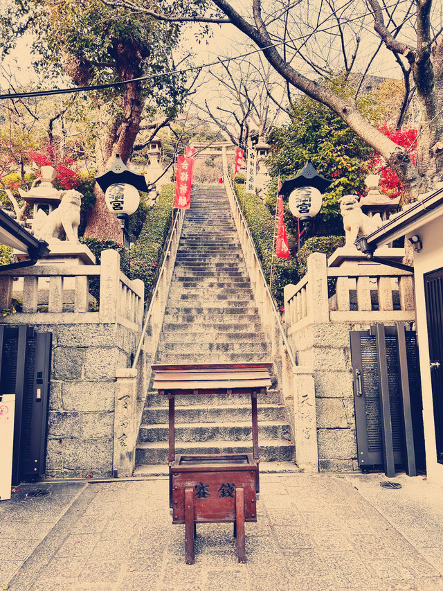 A Soulful Day Trip to Koyasan: A Journey Back to Peace 🧘‍♀️🌿
