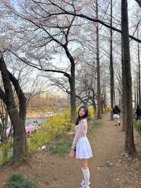 우리동네 노을 + 벚꽃 명소 🌸🧡