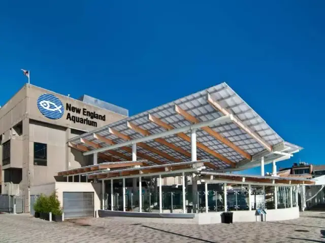 Boston's New England Aquarium