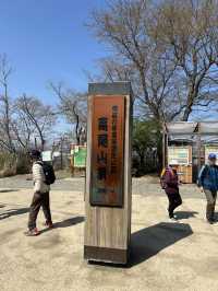 週末リフレッシュ！自然とグルメを満喫する高尾山ハイキング