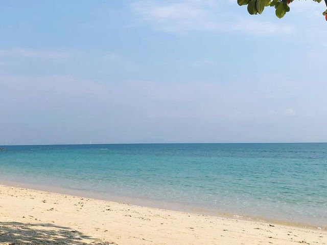 Tonsak cafe 🌴 คาเฟ่ที่ใครไปก็ต้องแวะ