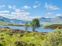 Spring Stillness at Rannoch Moor Viewpoint