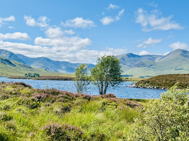 Spring Stillness at Rannoch Moor Viewpoint