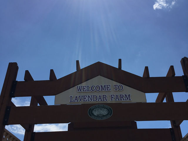 夏の北海道！大好き❤️