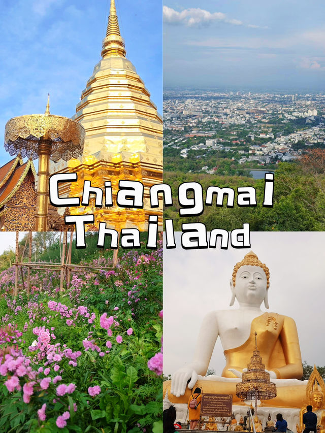 เชียงใหม่หลังแผ่นดินไหว เที่ยวได้สบายยย