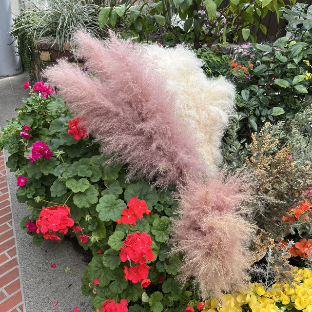神戶布引香草園🇯🇵