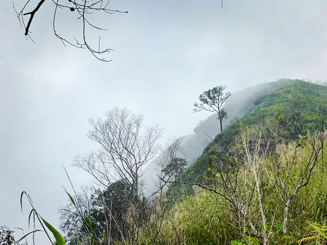 บทพิสูจน์ใจ ก่อนพบสวรรค์ลานสน 🌲