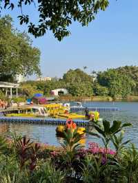 流花湖公園｜貓咪樂園！仲可以近距離睇黑天鵝