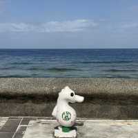 藍到不真實！綠島環島🏝️＋潛水🤿一日完美行，海景🪸和海龜通通收集！🤩
