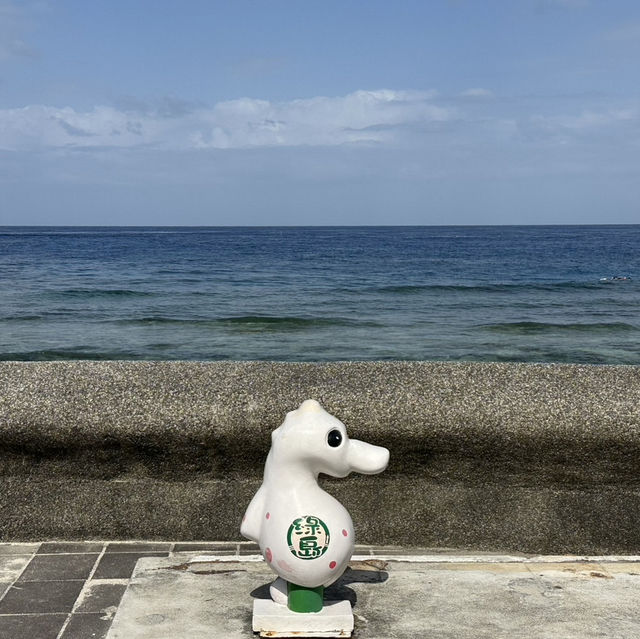藍到不真實！綠島環島🏝️＋潛水🤿一日完美行，海景🪸和海龜通通收集！🤩