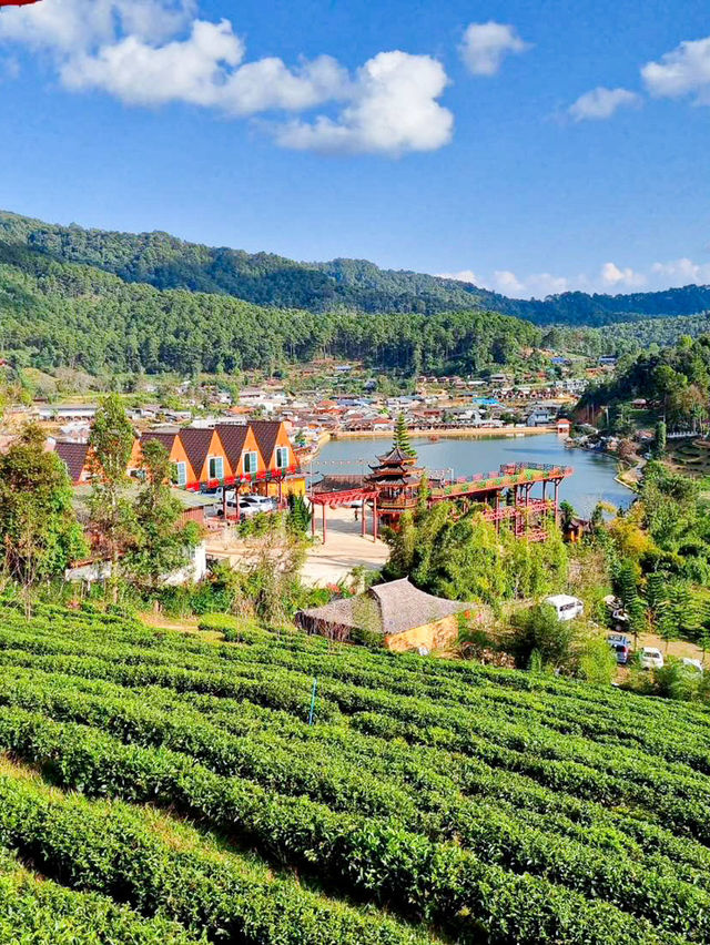 หนาวนี้ที่ “บ้านรักไทย”🧣