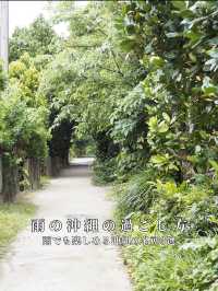 雨の沖縄の過ごし方