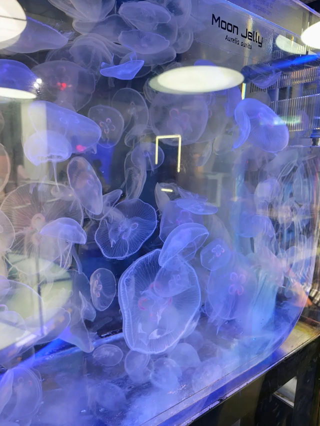Aquaria KLCC