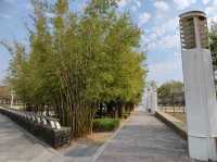 #台南都會公園-臺南市仁德區