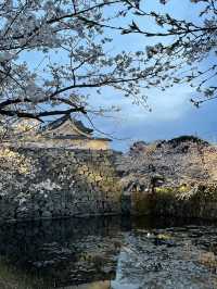 Fukuoka Castle Ruins day & night views