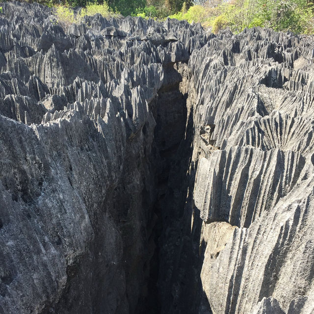 走進另一個世界｜Tsingy De Bemaraha National Park