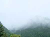 ดอยอ่างขาง 🌳 ธรรมชาติสวยๆ ณ ปลายฝนต้นหนาว