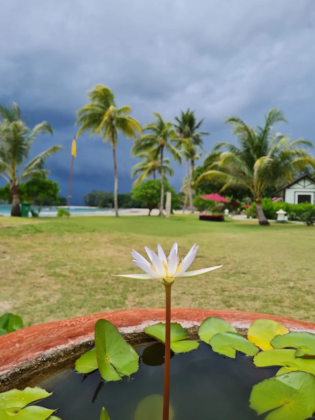 Nirwana Resort Hotel