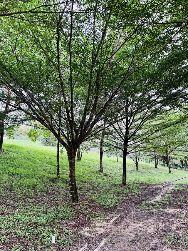 “Taman Wawasan: Where Nature Leads the Way”