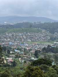 The Tea Plantations of Nuwara Eliya