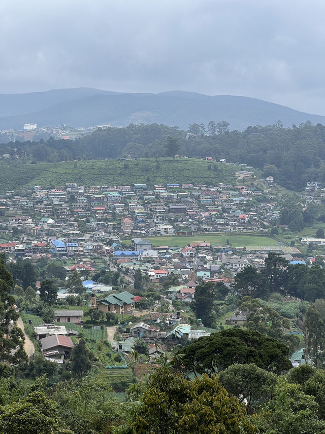 The Tea Plantations of Nuwara Eliya