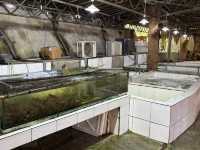 Veg Fish Farm Thai Restaurant, Lakeside Dining Experience in Hulu Langat
