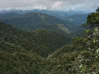 Cameron Highlands trek