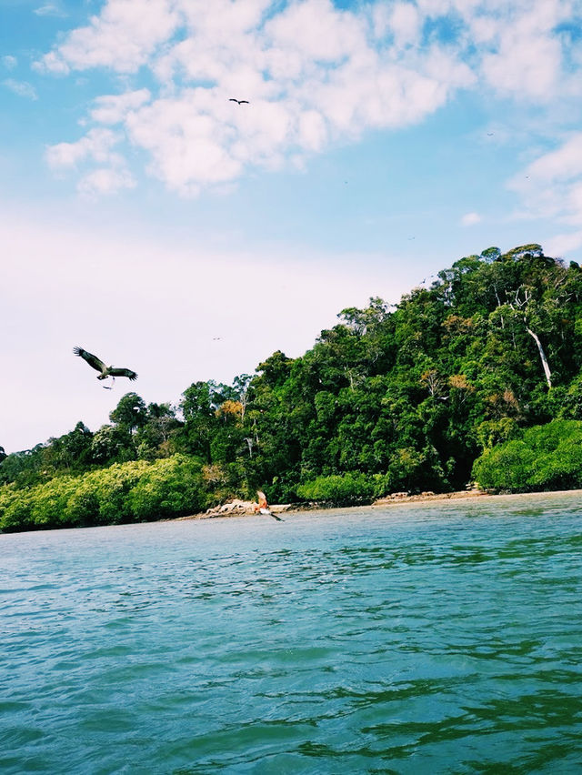 Pulau Singa Besar – Langkawi’s Wild Island of Eagles & Nature** 🦅🌿