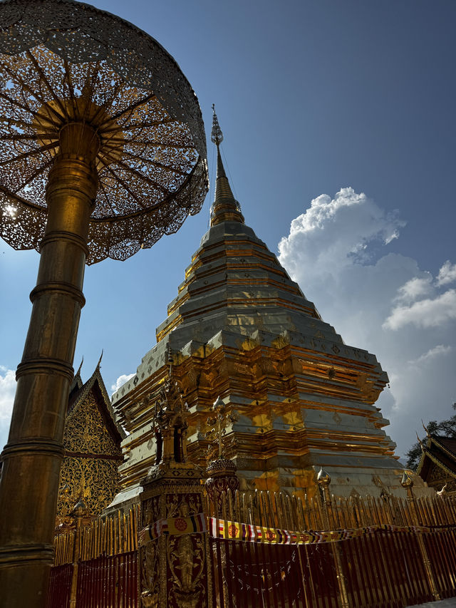 Trip เชียงใหม่ ฉบับ 1 วัน 1 คืน