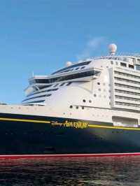 "Enchanted Voyages: A Magical Disney Cruise Adventure"