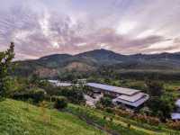 🧘‍♂️Peace & Pine Trees: My Soul Detox at Kechara Forest Retreat🌲✨