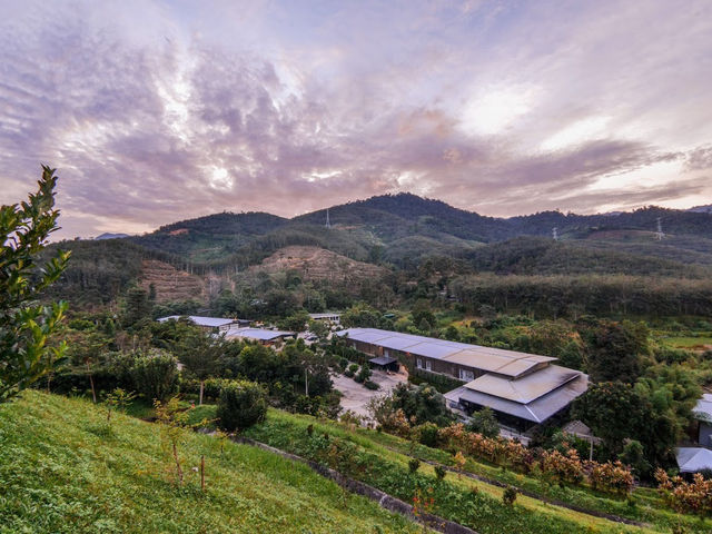 🧘‍♂️Peace & Pine Trees: My Soul Detox at Kechara Forest Retreat🌲✨