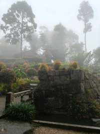 A Misty Escape – Japanese Village at Colmar Tropicale