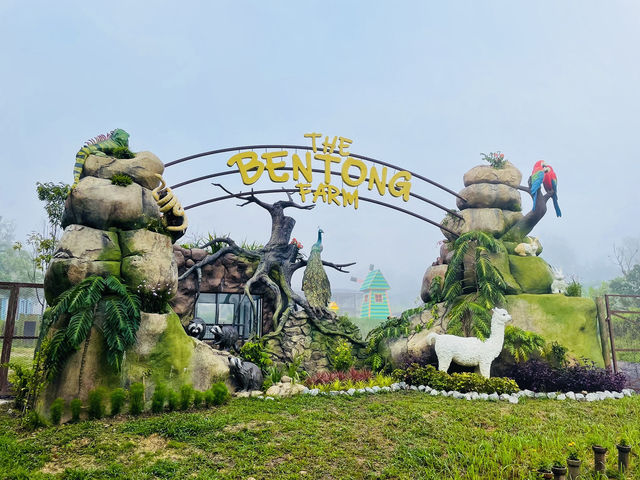 Exploring Bentong Ginger Farm: Pahang’s Spicy Agri-Tourism Gem