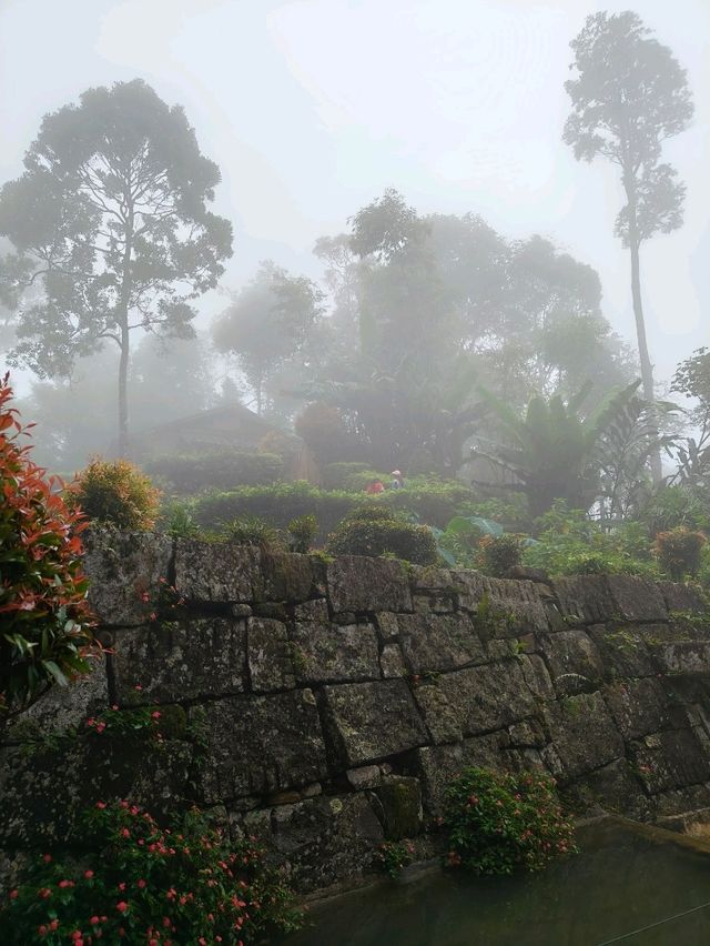 A Hidden Japanese Paradise in Genting Highlands