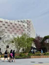 Osaka Expo 2025! ✨