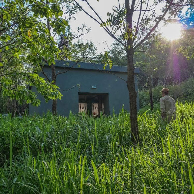 เปิดประสบการณ์ชมงานศิลป์กลางป่าใหญ่🌿