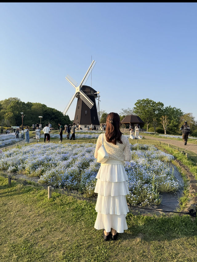 大阪•緑地公園
