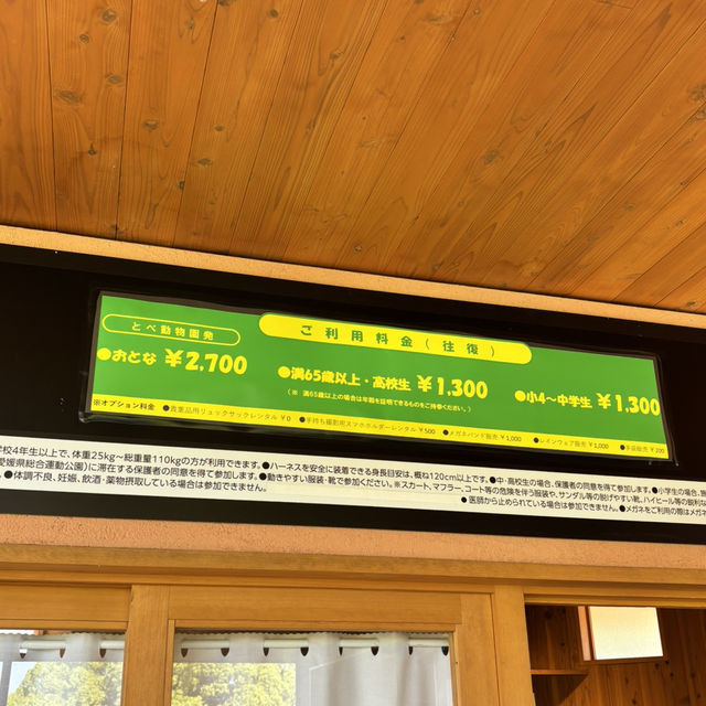 🇯🇵【愛媛県】四国最大級スケールを誇る とべもりジップライン