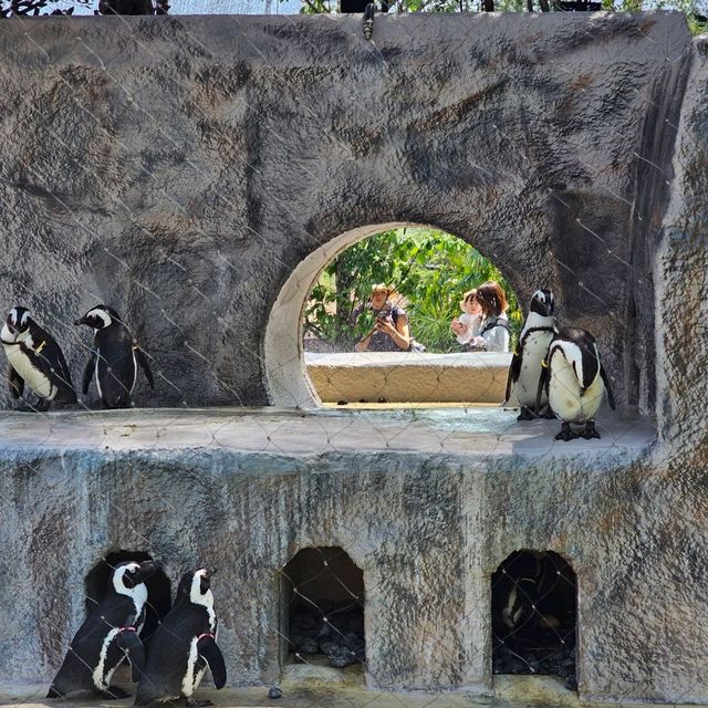 [上野動物園]関東でパンダが見られるのはここだけ！子供連れ観光地の定番