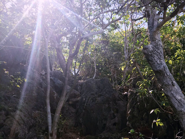 จุดชมวิวเขาแดง ยอดเขาสามร้อยยอด 