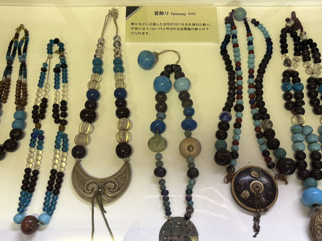 【北海道】剥製に囲まれる体験【網走市立郷土博物館】