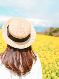 【淡路島】一年中お花を楽しめる楽園🩵🌼