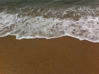 🌊 바다와 숲길이 어우러진 하루 – 해운대 & 동백섬 산책