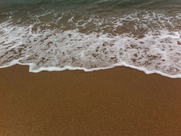 🌊 바다와 숲길이 어우러진 하루 – 해운대 & 동백섬 산책