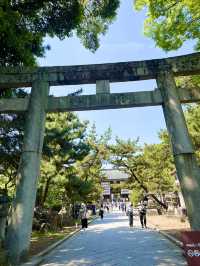 学問の神様に願いを込めて。四季を彩る北野天満宮の魅力