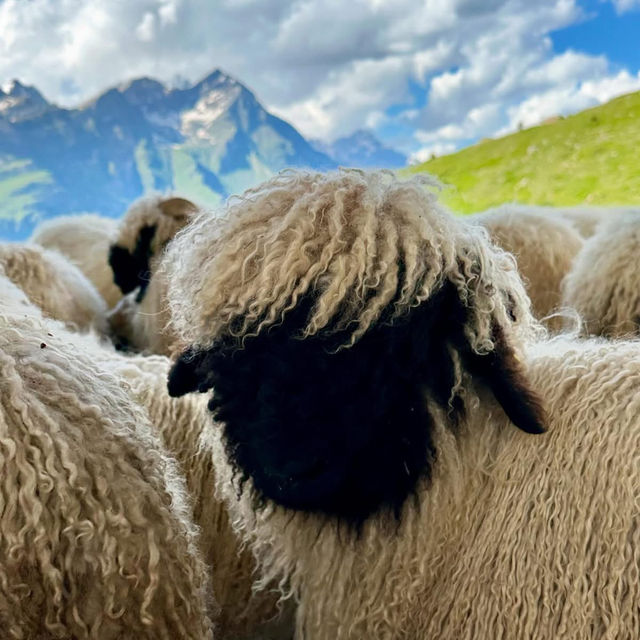 👨‍👩‍👧‍👦 Family-Friendly Zermatt Weekend: Matterhorn Magic for All Ages!