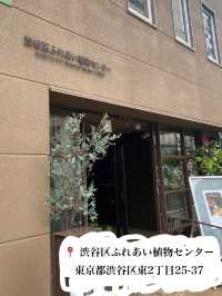 100円で楽しめる！🤩都会の中の植物園！🌱　渋谷区ふれあい植物センター