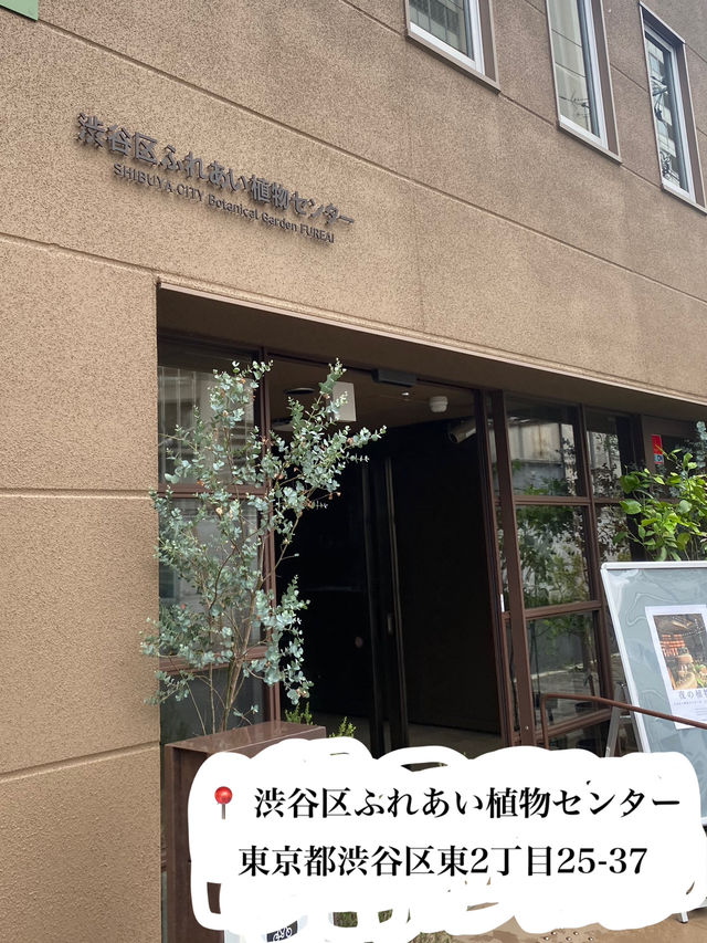 100円で楽しめる！🤩都会の中の植物園！🌱　渋谷区ふれあい植物センター